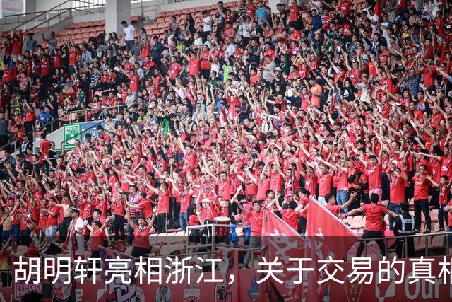 胡明轩亮相浙江，关于交易的真相揭秘